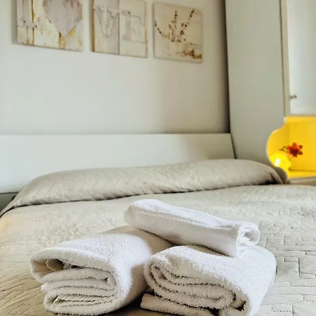 Ciro's House 올비아