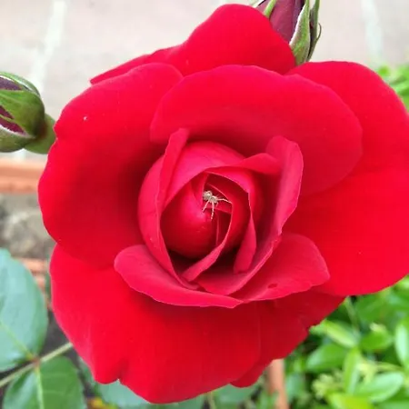 게스트하우스 Ciro's House 올비아