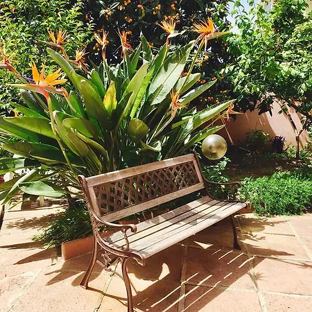 Ciro's House 게스트하우스 올비아