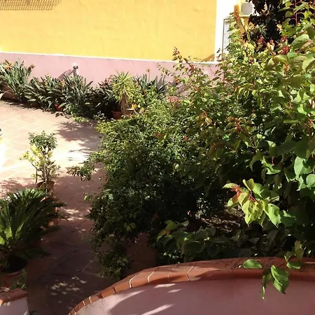 بيت ضيافة Ciro's House أولبيا