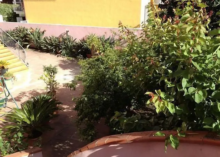 Гостьовий будинок Ciro's House