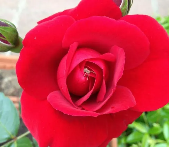 Guest house Ciro's House Olbia